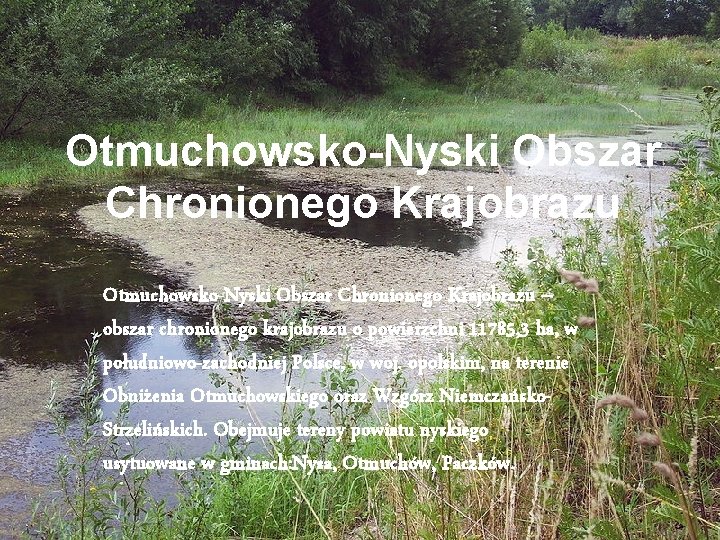Otmuchowsko-Nyski Obszar Chronionego Krajobrazu – obszar chronionego krajobrazu o powierzchni 11785, 3 ha, w