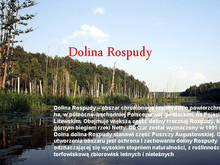 Dolina Rospudy – obszar chronionego krajobrazu o powierzchn ha, w północno-wschodniej Polsce, w woj.