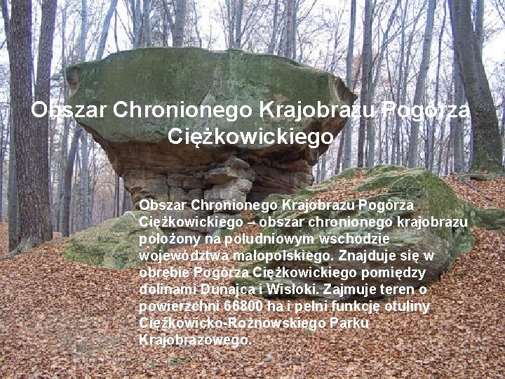 Obszar Chronionego Krajobrazu Pogórza Ciężkowickiego – obszar chronionego krajobrazu położony na południowym wschodzie województwa