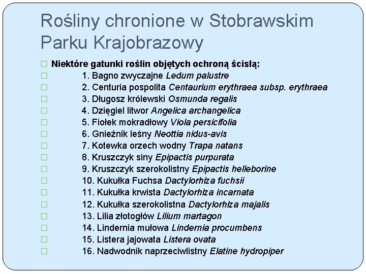 Rośliny chronione w Stobrawskim Parku Krajobrazowy � � � � � Niektóre gatunki roślin