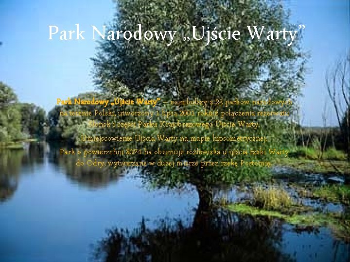 Park Narodowy „Ujście Warty” – najmłodszy z 23 parków narodowych na terenie Polski, utworzony