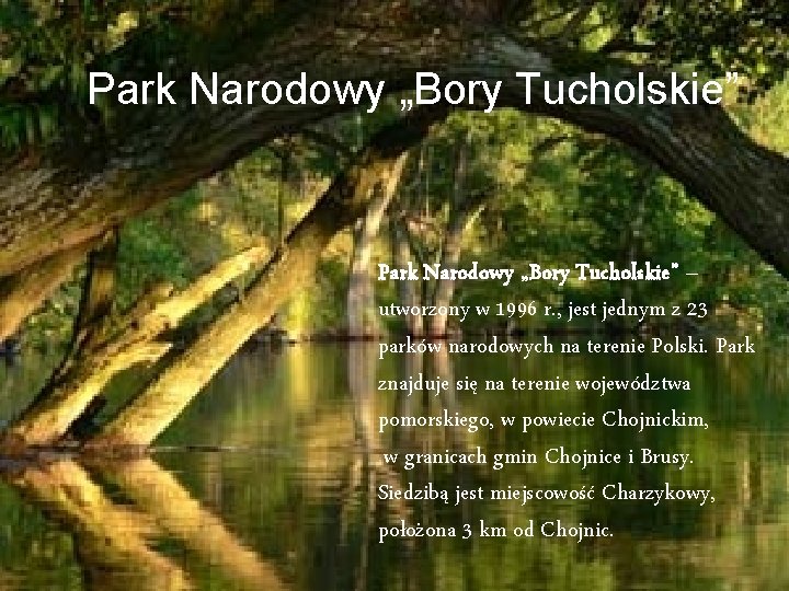 Park Narodowy „Bory Tucholskie” – utworzony w 1996 r. , jest jednym z 23