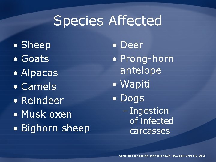 Species Affected • Sheep • Goats • Alpacas • Camels • Reindeer • Musk