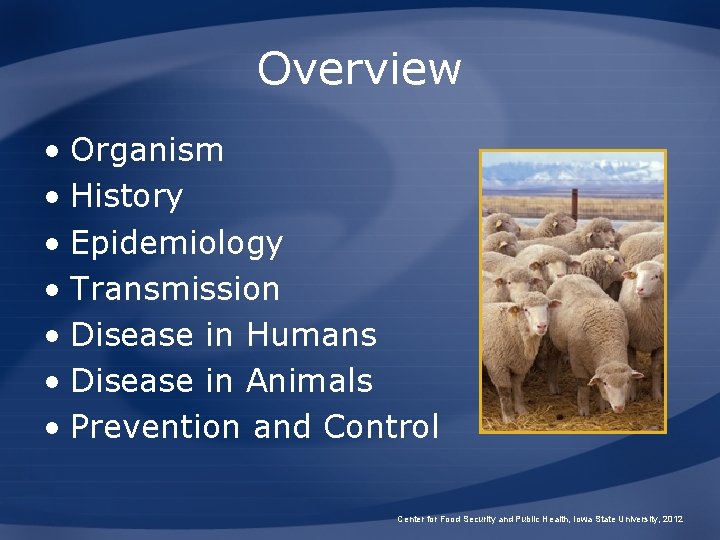 Overview • Organism • History • Epidemiology • Transmission • Disease in Humans •