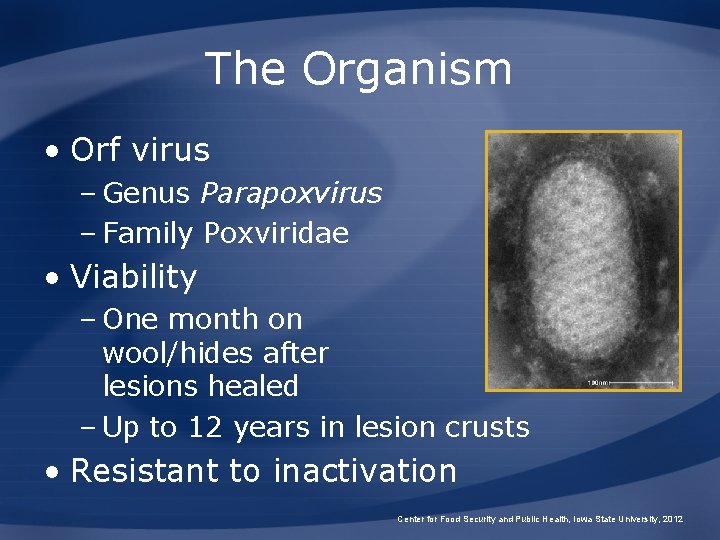 The Organism • Orf virus – Genus Parapoxvirus – Family Poxviridae • Viability –