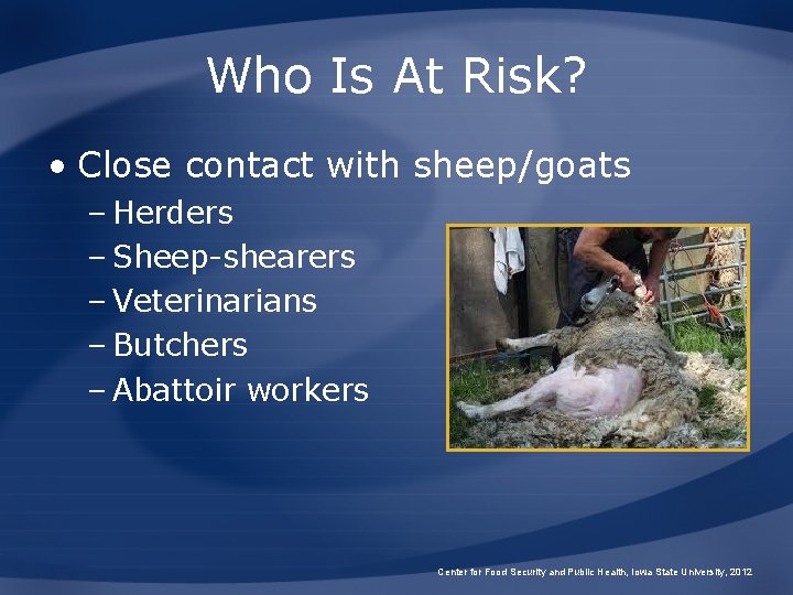 Who Is At Risk? • Close contact with sheep/goats – Herders – Sheep-shearers –