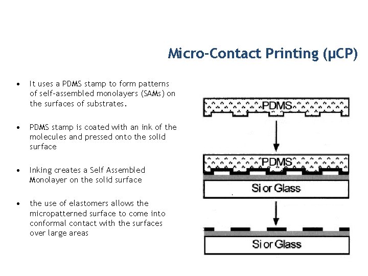 Micro-Contact Printing (µCP) • It uses a PDMS stamp to form patterns of self-assembled