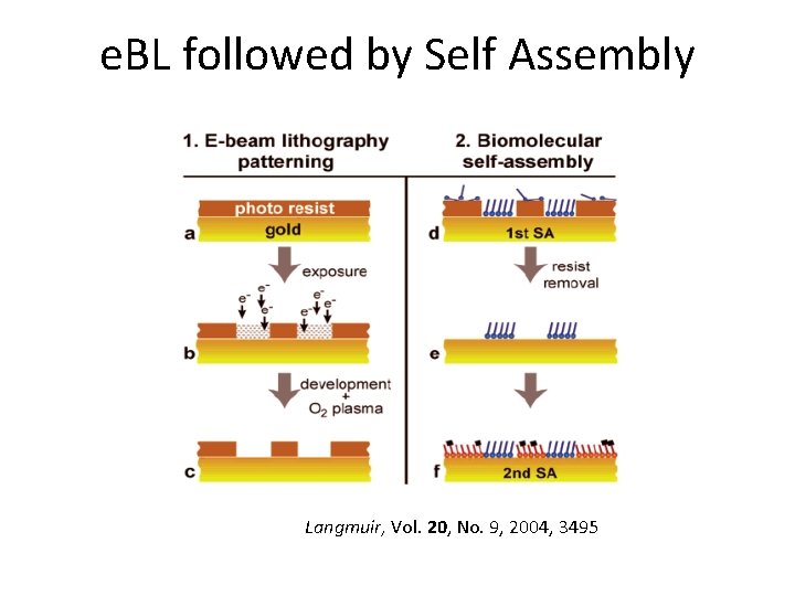 e. BL followed by Self Assembly Langmuir, Vol. 20, No. 9, 2004, 3495 