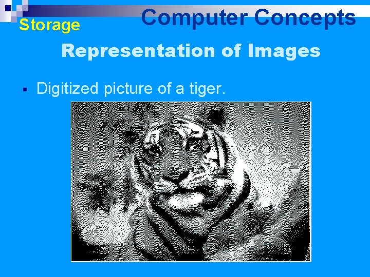 Storage Computer Concepts Representation of Images § Digitized picture of a tiger. 