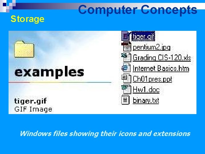 Storage Computer Concepts Windows files showing their icons and extensions 