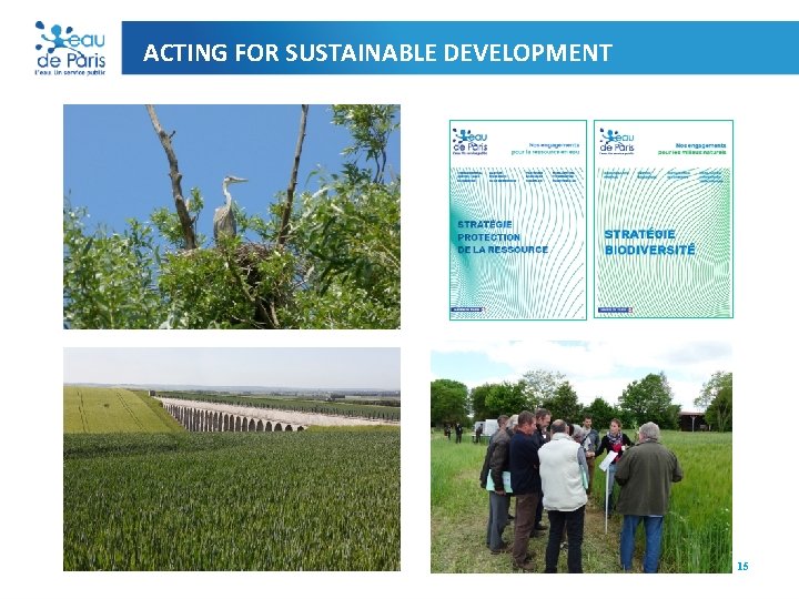 ACTING FOR SUSTAINABLE DEVELOPMENT 15 