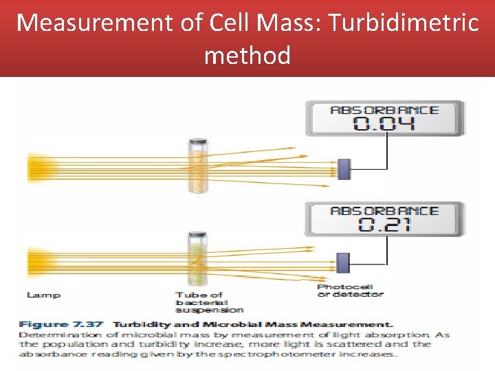 Measurement of Cell Mass: Turbidimetric method 