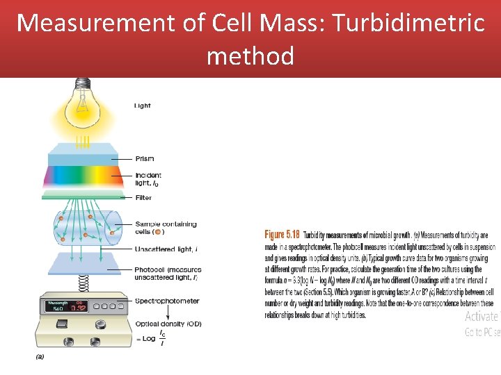 Measurement of Cell Mass: Turbidimetric method 