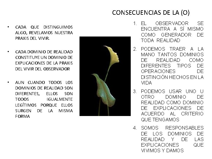 CONSECUENCIAS DE LA (O) • CADA QUE DISTINGUIMOS ALGO, REVELAMOS NUESTRA PRAXIS DEL VIVIR.