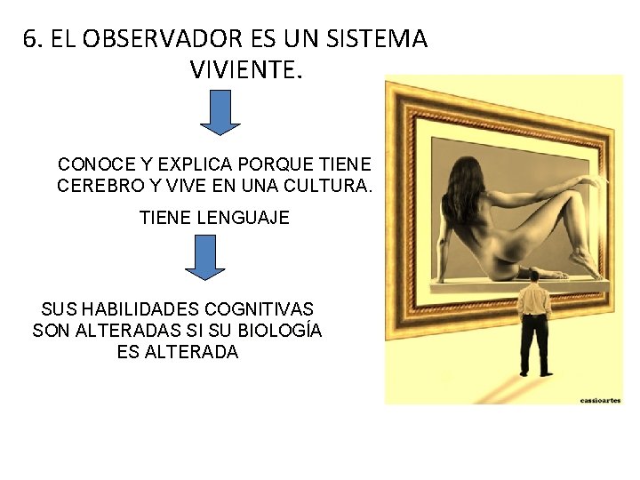 6. EL OBSERVADOR ES UN SISTEMA VIVIENTE. CONOCE Y EXPLICA PORQUE TIENE CEREBRO Y