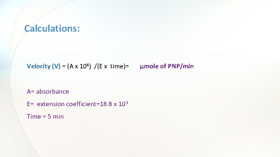 Calculations: Velocity (V) = (A x 106) /(E x time)= A= absorbance E= extension