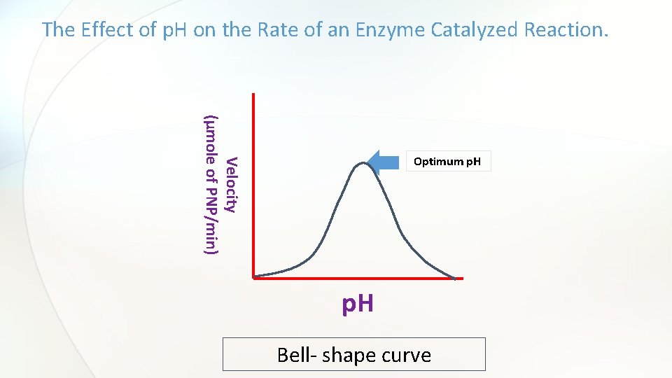 The Effect of p. H on the Rate of an Enzyme Catalyzed Reaction. Velocity