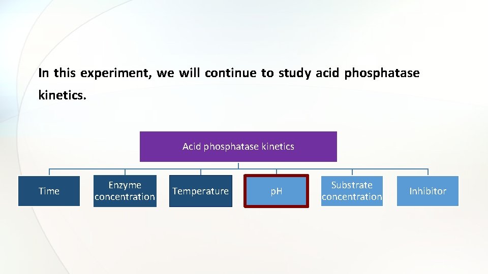 In this experiment, we will continue to study acid phosphatase kinetics. Acid phosphatase kinetics