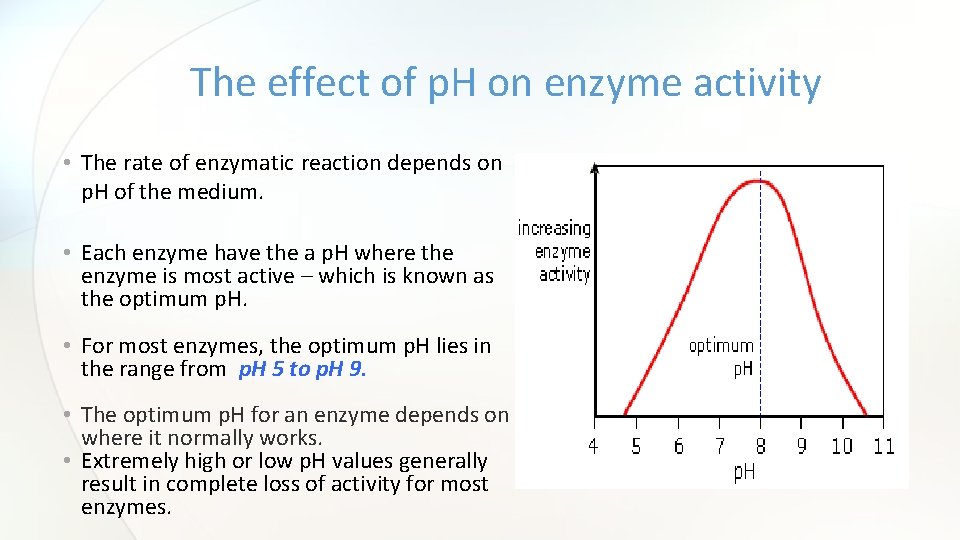 The effect of p. H on enzyme activity • The rate of enzymatic reaction