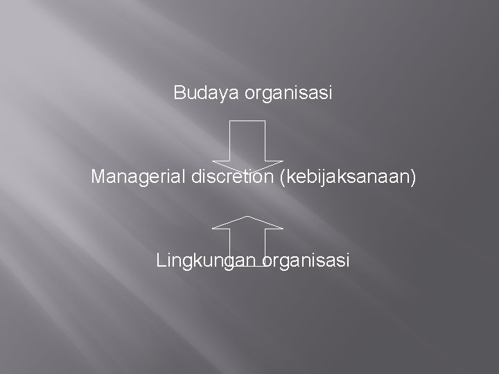 Budaya organisasi Managerial discretion (kebijaksanaan) Lingkungan organisasi 