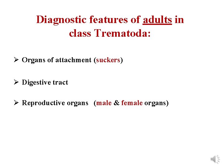 Diagnostic features of adults in class Trematoda: Ø Organs of attachment (suckers) Ø Digestive