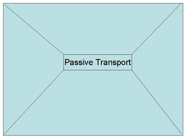 Passive Transport 
