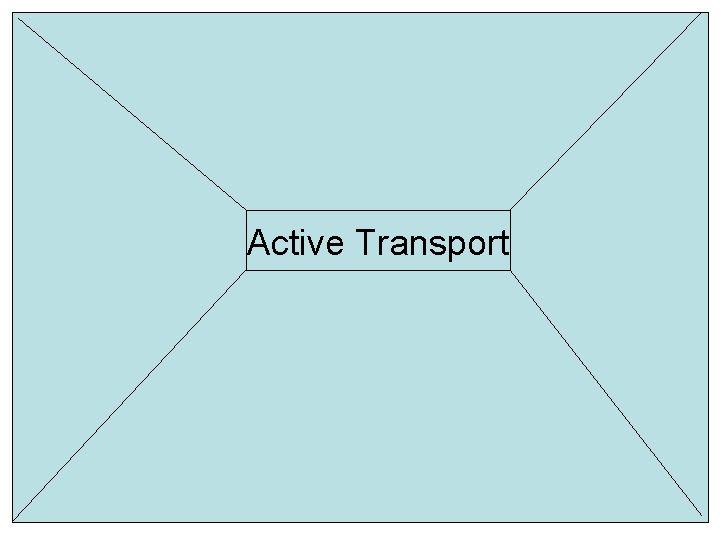 Active Transport 