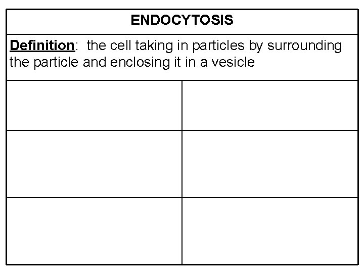 ENDOCYTOSIS Definition: the cell taking in particles by surrounding the particle and enclosing it