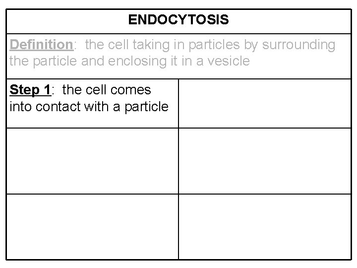 ENDOCYTOSIS Definition: the cell taking in particles by surrounding the particle and enclosing it