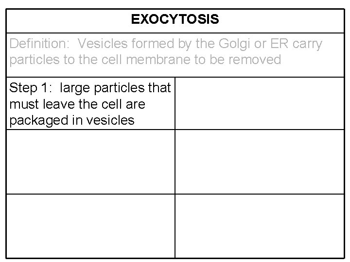 EXOCYTOSIS Definition: Vesicles formed by the Golgi or ER carry particles to the cell