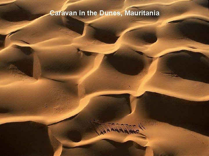 Caravan in the Dunes, Mauritania 