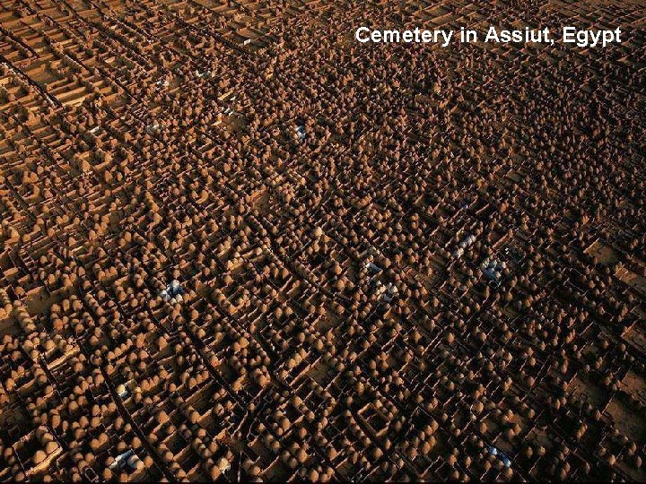 Cemetery in Assiut, Egypt 