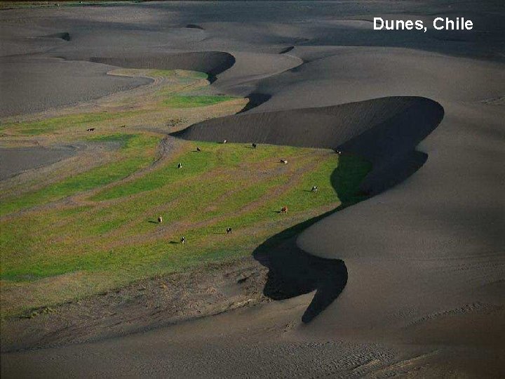 Dunes, Chile 
