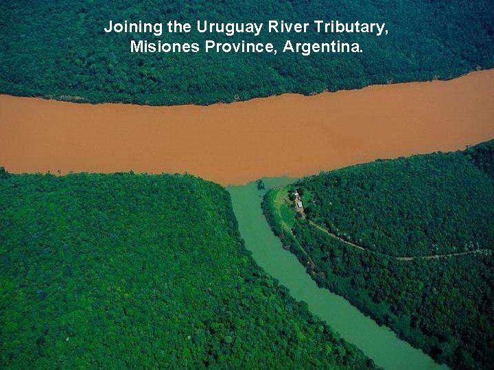 Joining the Uruguay River Tributary, Misiones Province, Argentina. 