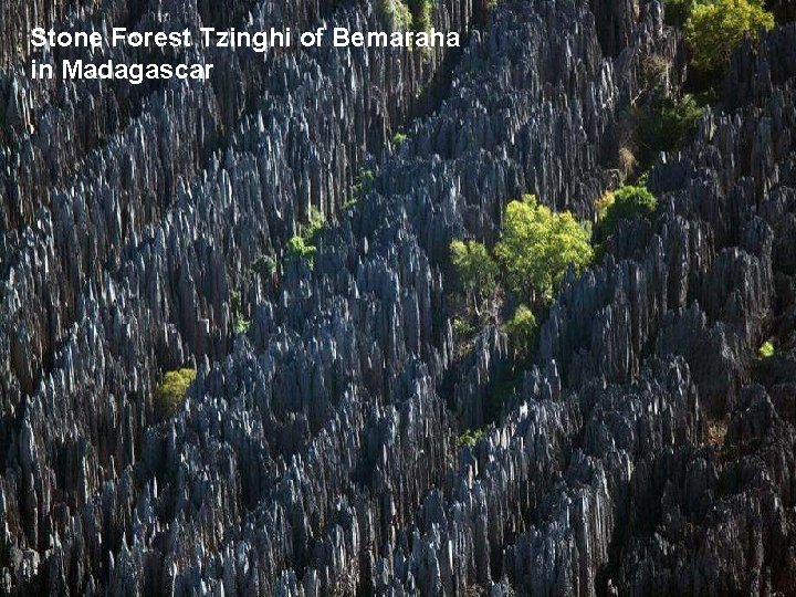 Stone Forest Tzinghi of Bemaraha in Madagascar 