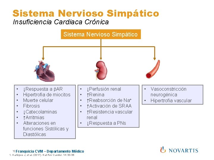 Sistema Nervioso Simpático Insuficiencia Cardiaca Crónica Sistema Nervioso Simpático • • ↓Respuesta a b.