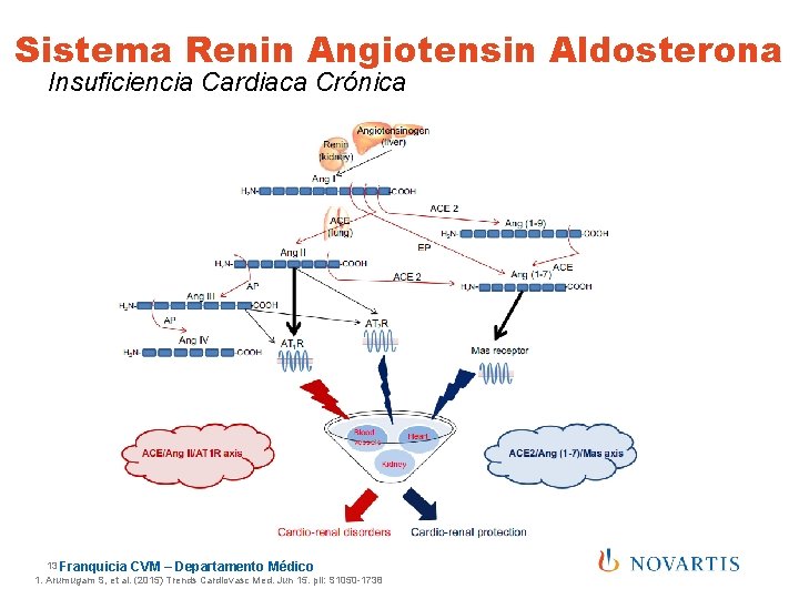 Sistema Renin Angiotensin Aldosterona Insuficiencia Cardiaca Crónica 13 Franquicia CVM – Departamento Médico 1.