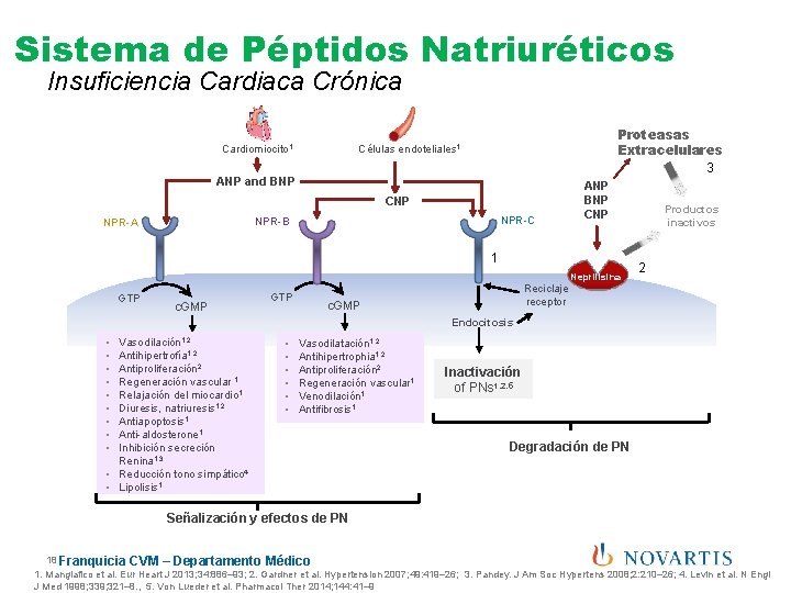 Sistema de Péptidos Natriuréticos Insuficiencia Cardiaca Crónica Cardiomiocito 1 Proteasas Extracelulares 3 Células endoteliales