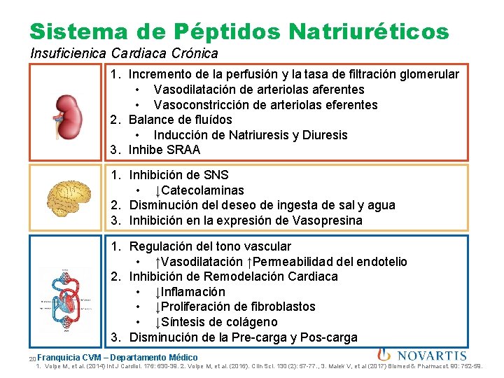 Sistema de Péptidos Natriuréticos Insuficienica Cardiaca Crónica 1. Incremento de la perfusión y la