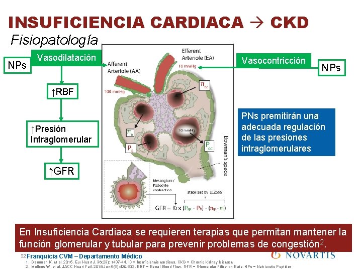 INSUFICIENCIA CARDIACA CKD Fisiopatología NPs Vasodilatación Vasocontricción NPs ↑RBF ↑Presión Intraglomerular PNs premitirán una