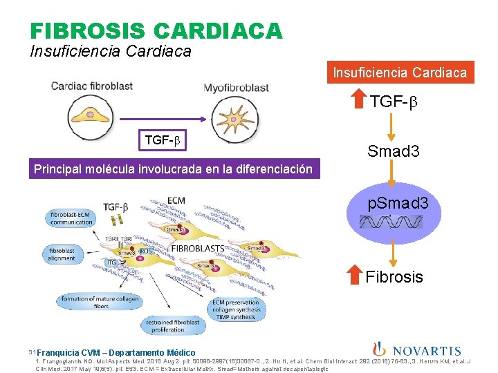 FIBROSIS CARDIACA Insuficiencia Cardiaca TGF-b Smad 3 Principal molécula involucrada en la diferenciación p.