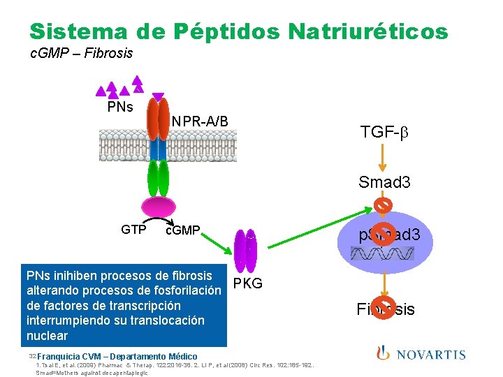 Sistema de Péptidos Natriuréticos c. GMP – Fibrosis PNs NPR-A/B TGF-b Smad 3 GTP