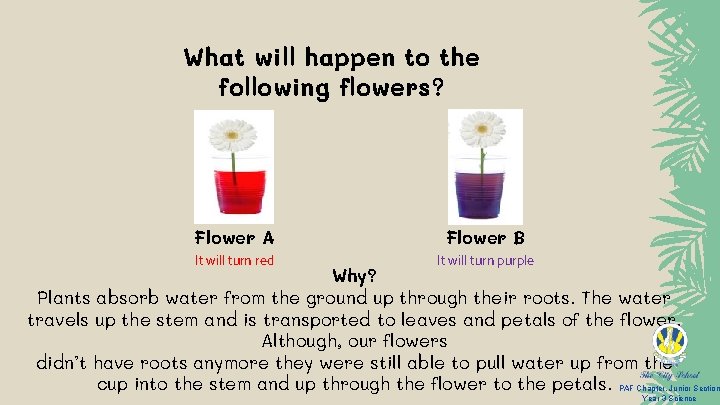 What will happen to the following flowers? Flower A Flower B It will turn