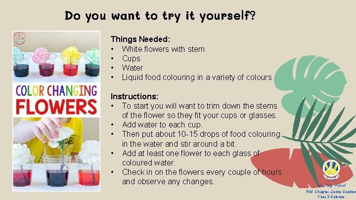 Do you want to try it yourself? Things Needed: • White flowers with stem