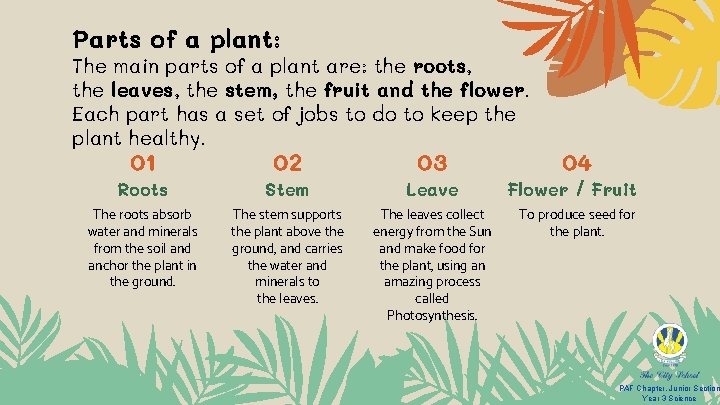 Parts of a plant: The main parts of a plant are: the roots, the