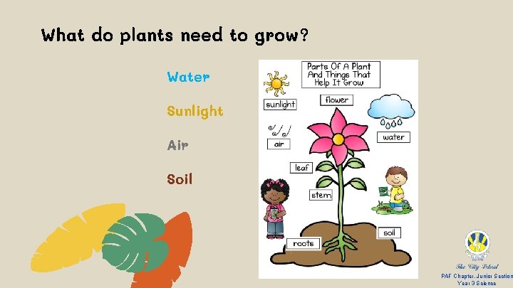 What do plants need to grow? Water Sunlight Air Soil PAF Chapter, Junior Section