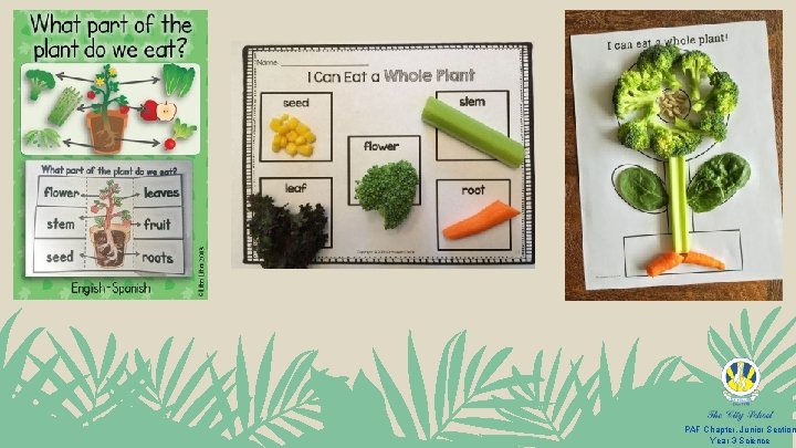 PAF Chapter, Junior Section Year 3 Science 