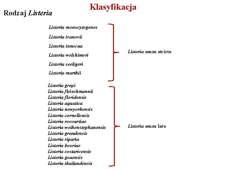 Rodzaj Listeria Klasyfikacja Listeria monocytogenes Listeria ivanovii Listeria innocua Listeria welshimeri Listeria sensu stricto