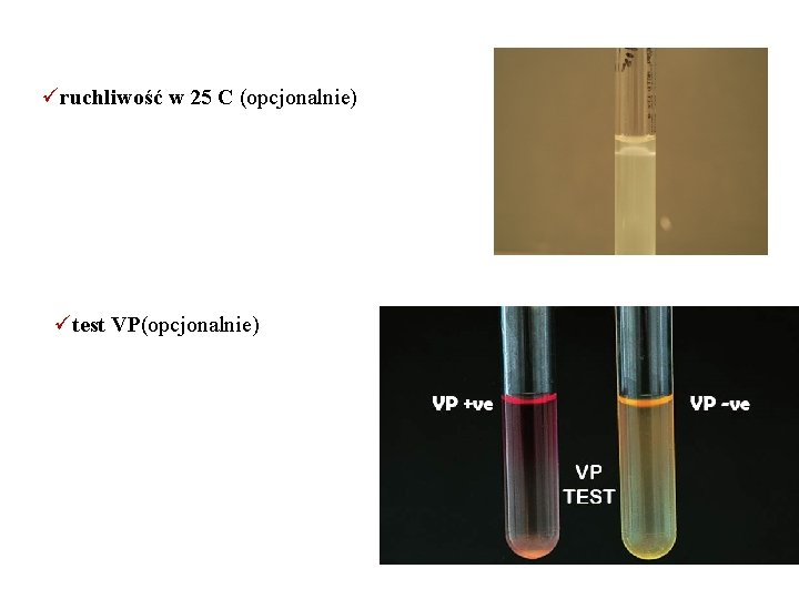 üruchliwość w 25 C (opcjonalnie) ütest VP(opcjonalnie) 