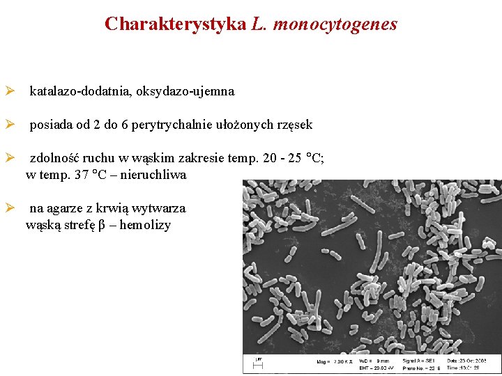 Charakterystyka L. monocytogenes Ø katalazo-dodatnia, oksydazo-ujemna Ø posiada od 2 do 6 perytrychalnie ułożonych
